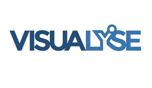 visualyse consultoria assessoria